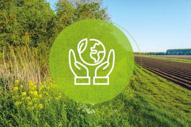 hedgerows and agricultural land