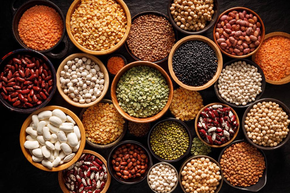 Commission publishes latest forecasts on EU feed protein production and trade